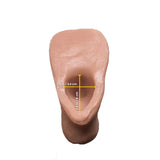  Analyzing image     Banana-Prosthetics-STP2-measurement